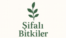 Şifalı Bitkiler